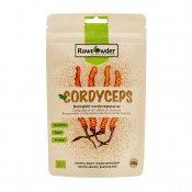 cordyceps sinensis pulver